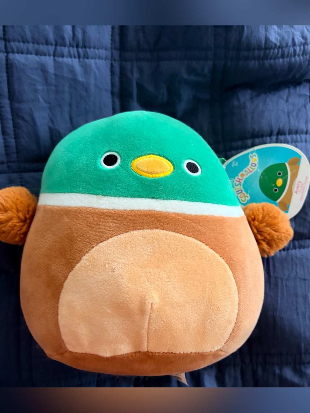 Avery Squishmallows Plush in Green, Brown and Yellow- With Tag!